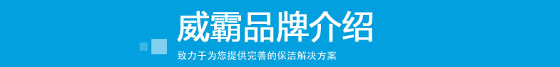 威霸直立式吸塵器 GTR1500品牌介紹標(biāo)題
